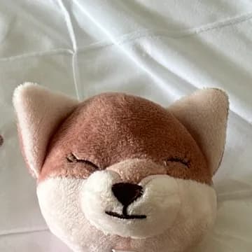 A naninha de raposa da Maria.